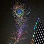 Lapices Lapiz De Colores Faber-castell Supersoft X100