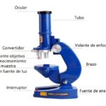 Microscopio De Juguete Con Led Para Niños