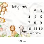 manta fotos bebe mes a mes espacio