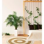 d 988962 mlu84392061185 052025 f.jpg