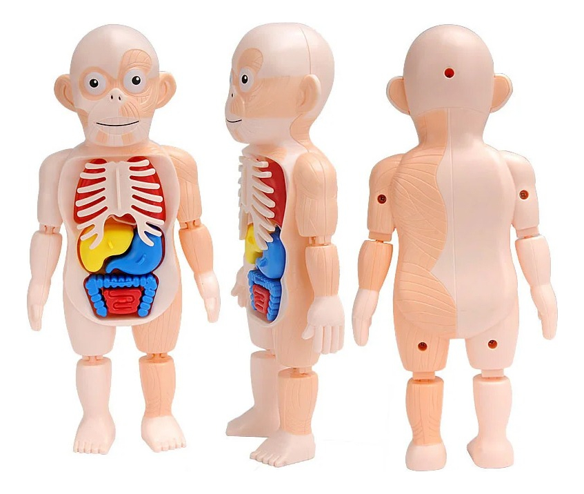 d 637237 mlu76738800262 062024 f.jpg d 637237 mlu76738800262 062024 f.jpg