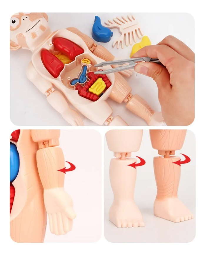 d 671598 mlu76943640327 062024 f.jpg d 671598 mlu76943640327 062024 f.jpg