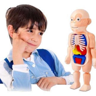 Juego Didactico Montessori Infantil Cuerpo Humano Anatomia