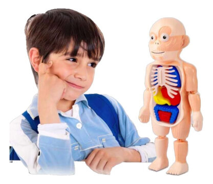 d 702030 mlu76943640295 062024 f.jpg