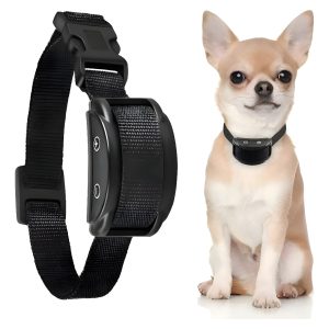 d 705194 mlu89874751179 082025 f.jpg