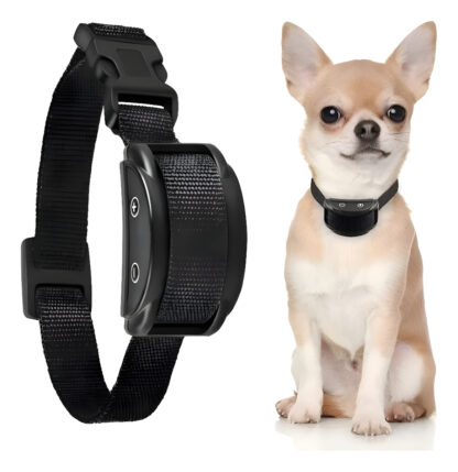 d 705194 mlu89874751179 082025 f.jpg