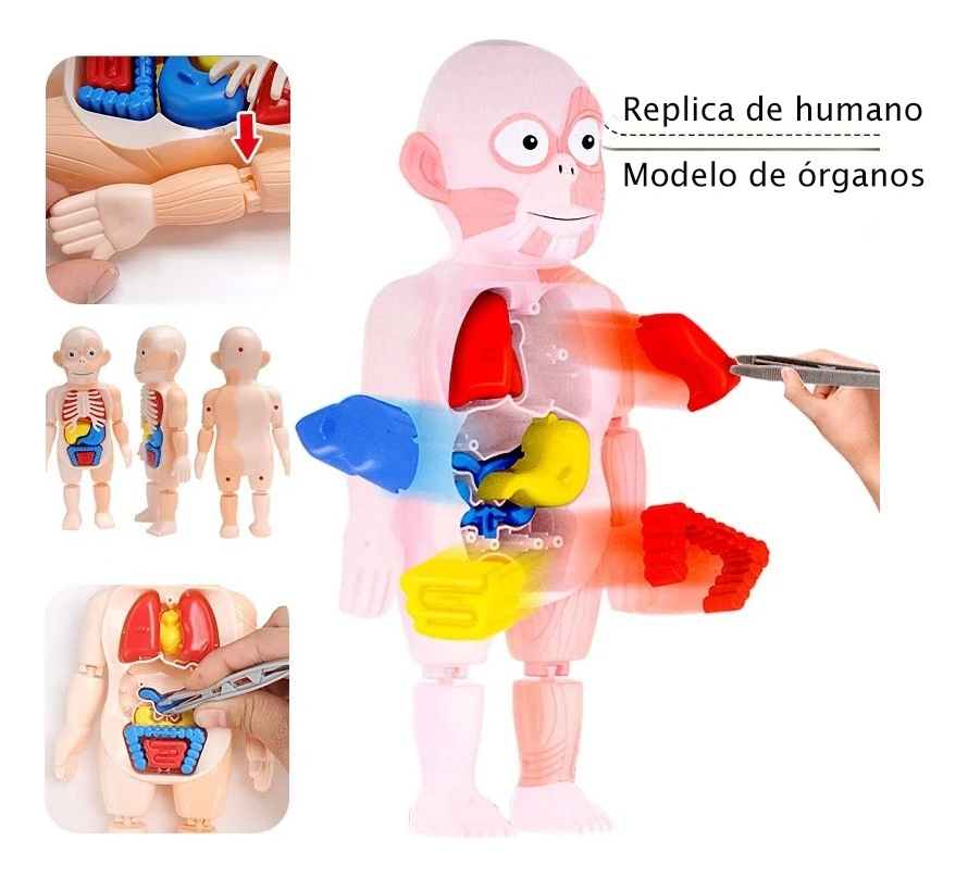 d 748128 mlu76738819692 062024 f.jpg d 748128 mlu76738819692 062024 f.jpg