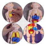 d 800782 mlu76943640359 062024 f.jpg