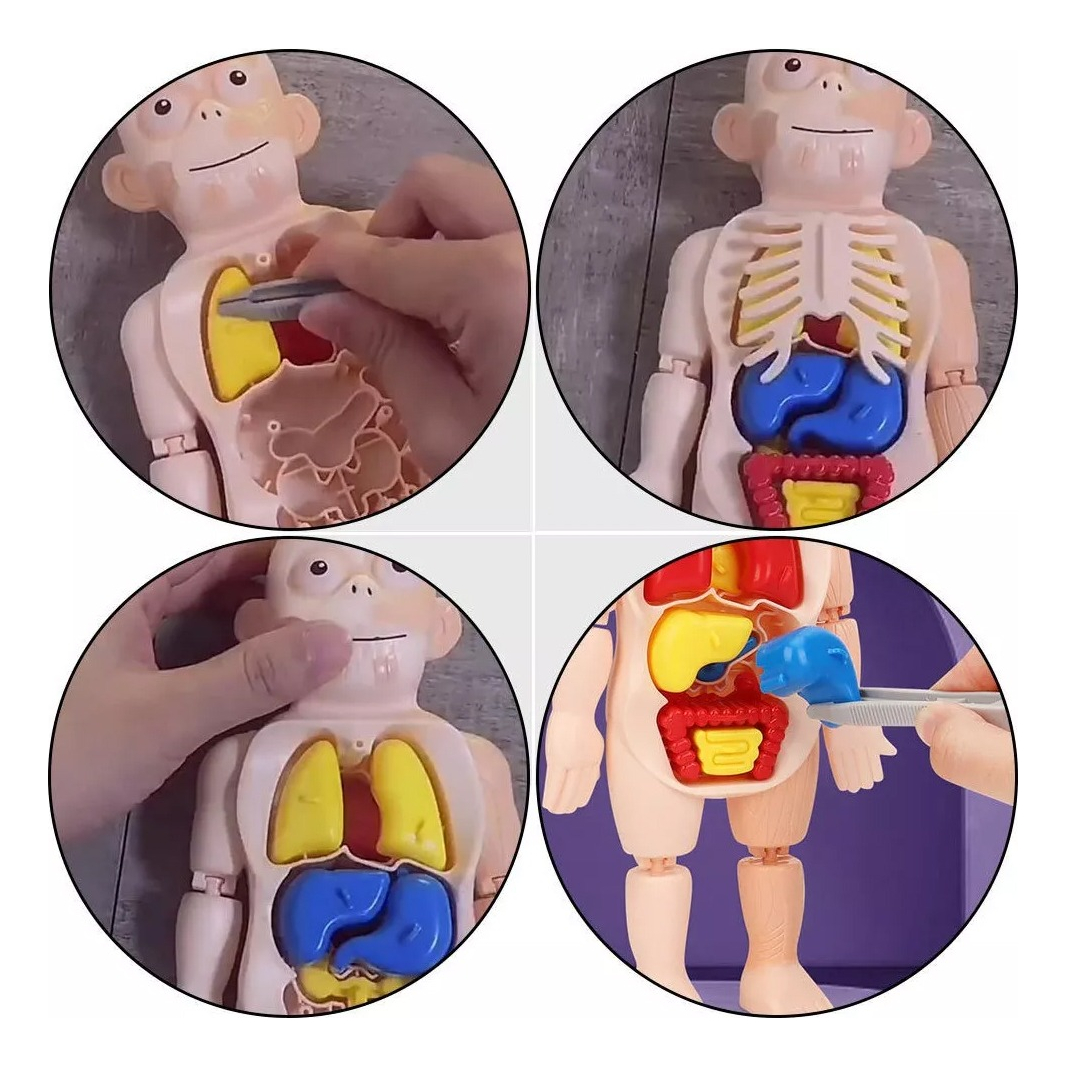 d 800782 mlu76943640359 062024 f.jpg d 800782 mlu76943640359 062024 f.jpg