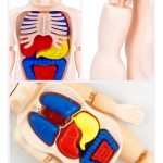 d 891345 mlu76738809736 062024 f.jpg