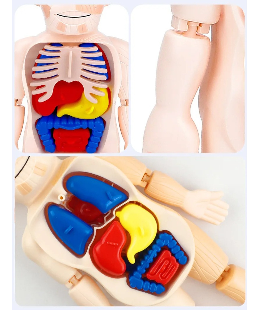 d 891345 mlu76738809736 062024 f.jpg d 891345 mlu76738809736 062024 f.jpg