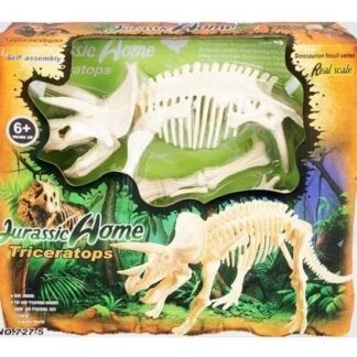 Esqueleto Dinosaurio Triceratop Para Armar + Poster A Color