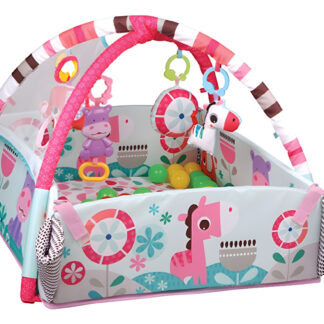 Centros de Actividades